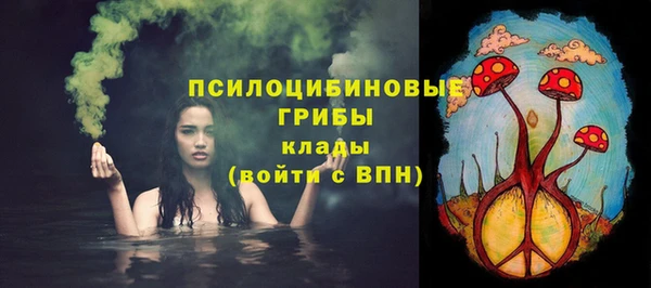 крисы Белокуриха