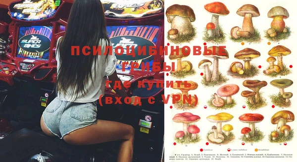 трава Балахна