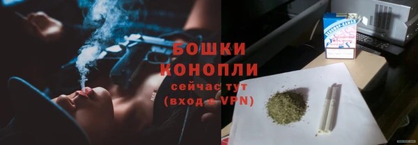 крисы Белокуриха