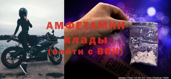 крисы Белокуриха