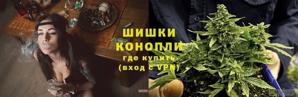 MESCALINE Покачи